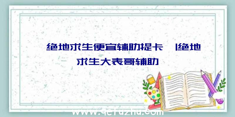 「绝地求生便宜辅助提卡」|绝地求生大表哥辅助